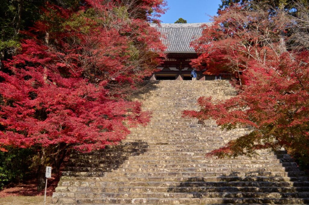 Takao (Kyoto Prefecture) feat. Jingo-ji
