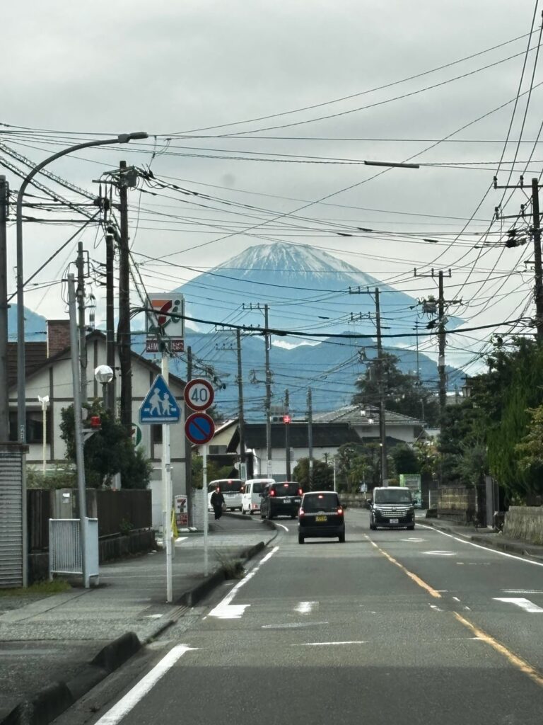 My kendo trip to Tokyo and Shizuoka