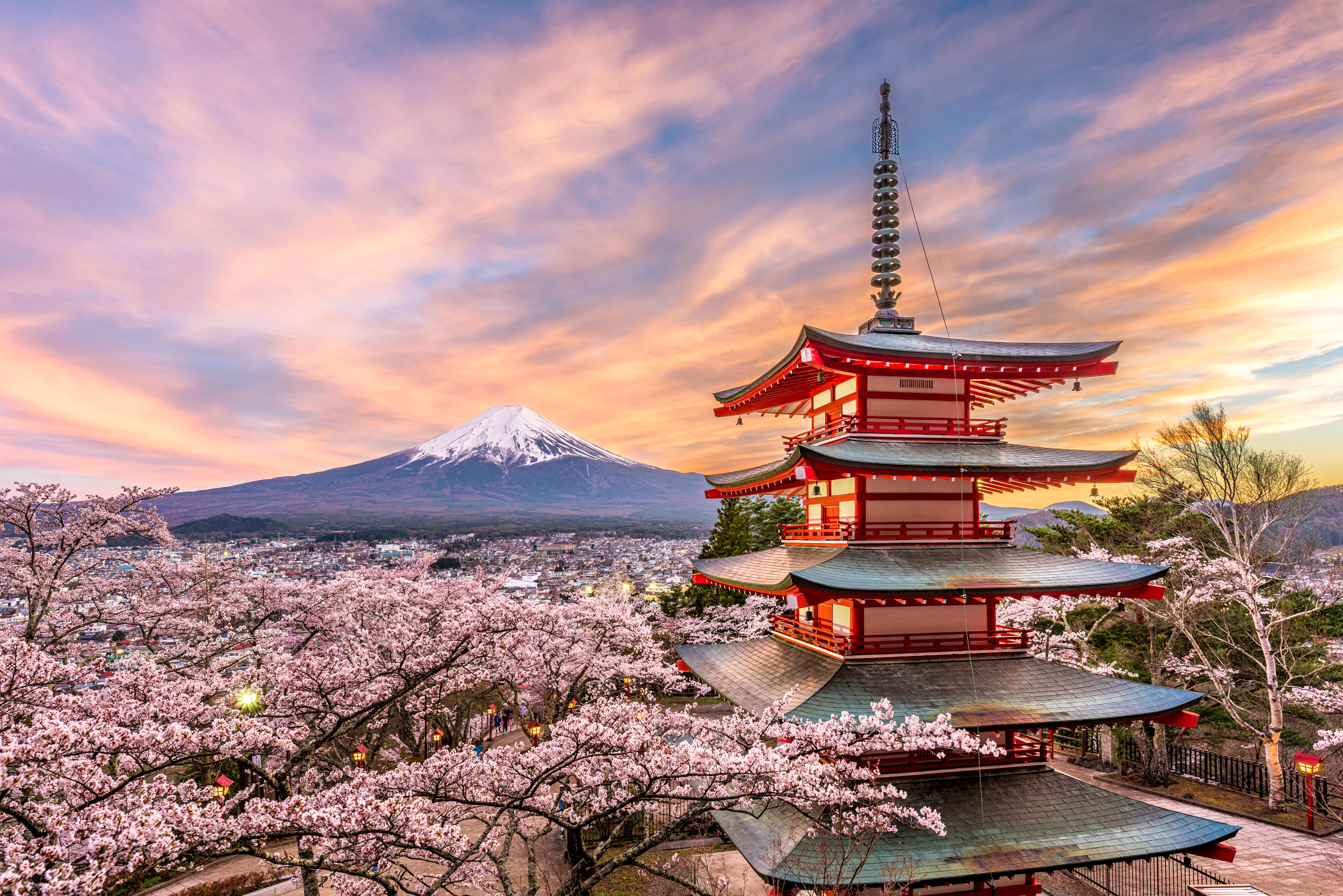 Chureito Pagoda and Mt. Fuji with cherry blossoms at sunset.