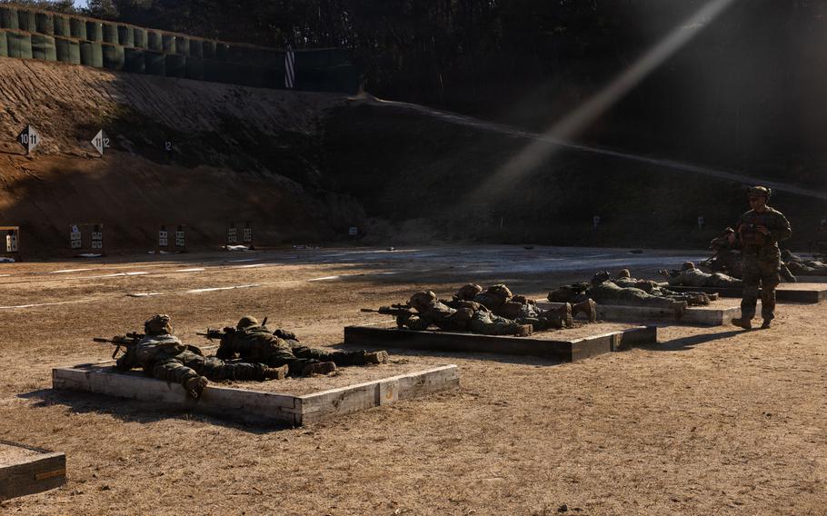 Marines line up on the ground and zero their rifles.