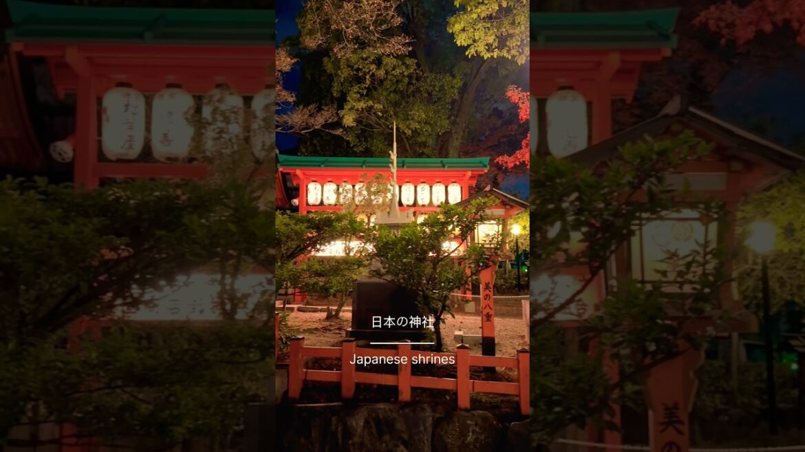 Kyoto đâŠī¸#shortsfeed #shorts #japan #trending Kyoto đâŠī¸#shortsfeed #shorts #japan #trending