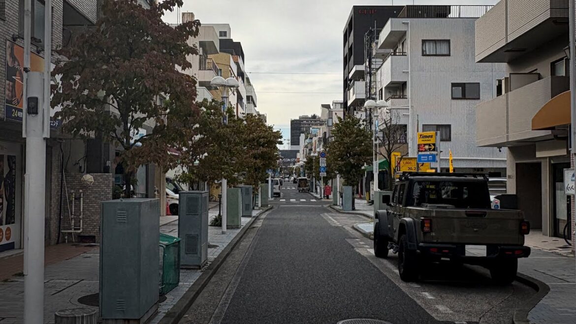 Japan Walking Tour: Yokohama Winter Walk in Ryokuentoshi