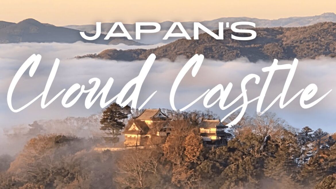 Japan’s Highest Castle at Dawn | Hidden Okayama Trip Japan’s Highest Castle at Dawn | Hidden Okayama Trip