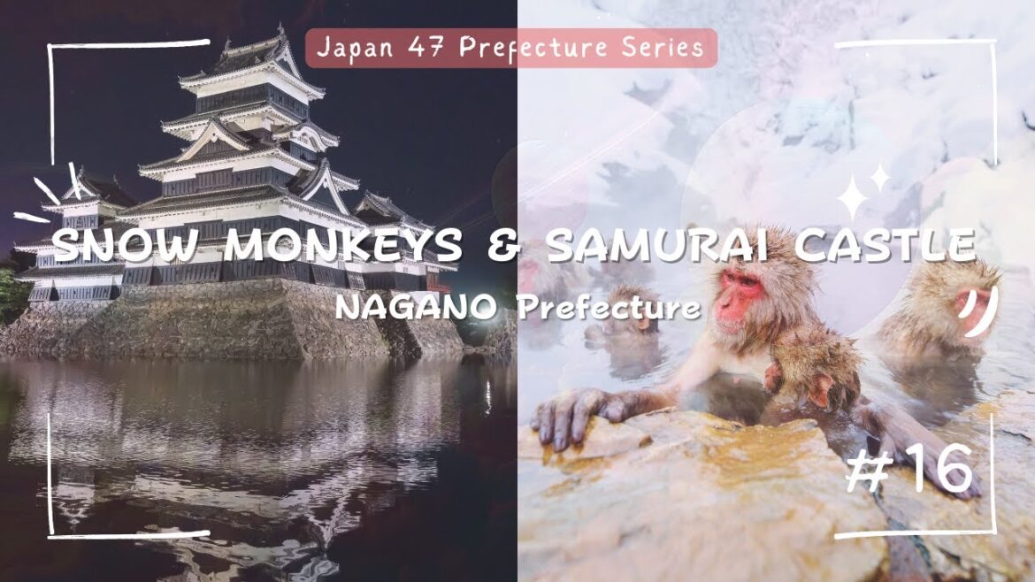 Nagano Prefecture Explained | Snow Monkeys, Samurai Castle & Olympic Skiing | Japan Series #16 Nagano Prefecture Explained | Snow Monkeys, Samurai Castle & Olympic Skiing | Japan Series #16