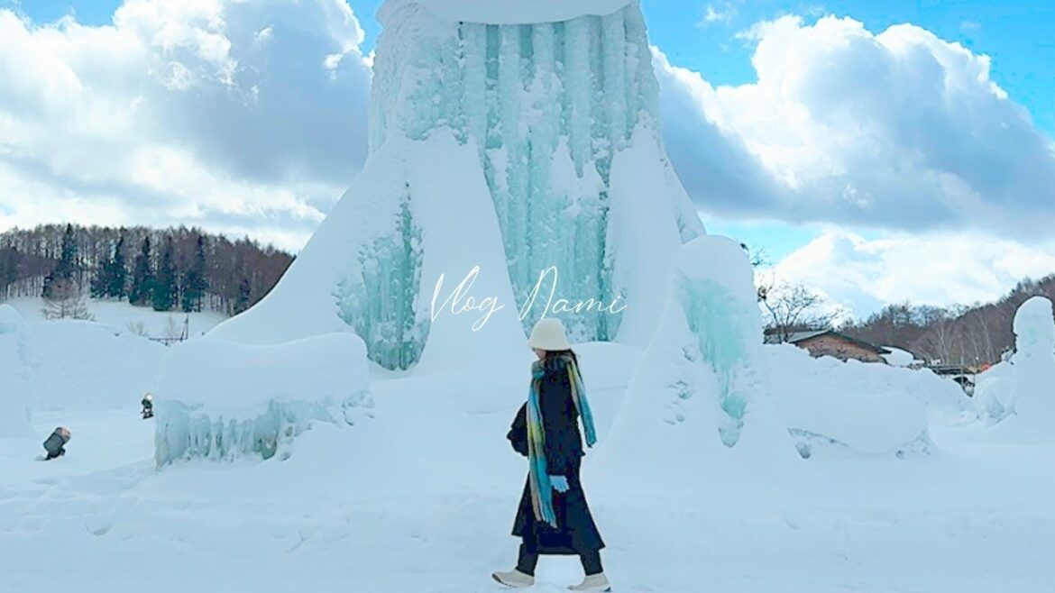 Japan Winter Trip 3 Days in a Snowy Wonderland – Akita & Iwate VLOG Japan Winter Trip 3 Days in a Snowy Wonderland – Akita & Iwate VLOG