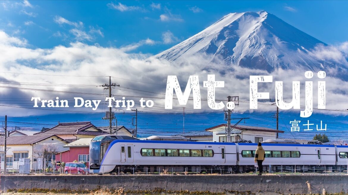Winter Trip to Mt. Fuji Area from Tokyo|Train Day Trip|JAPAN TRAVEL VLOG