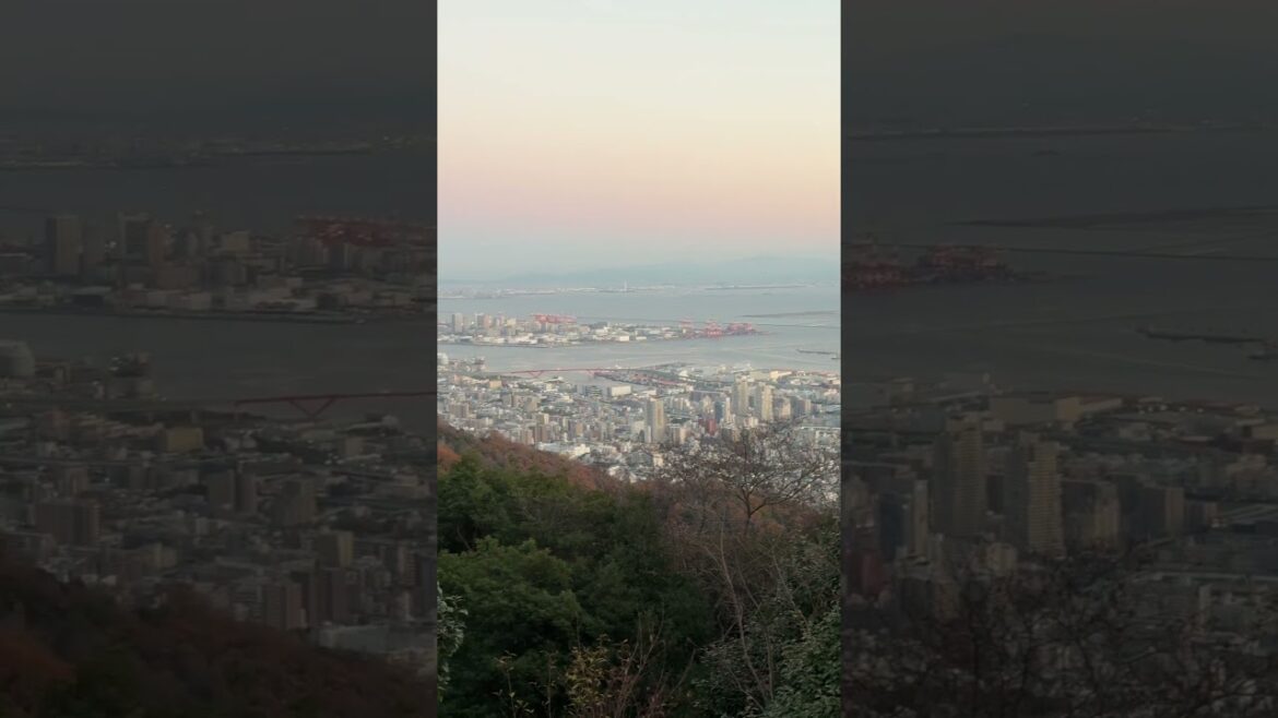 「最後の景色で全部持っていかれる」#神戸#Kobe#布引ハーブ園#Nunobiki#絶景#Scenery#日本#Japan#旅行#Travel#映え#viral 「最後の景色で全部持っていかれる」#神戸#Kobe#布引ハーブ園#Nunobiki#絶景#Scenery#日本#Japan#旅行#Travel#映え#viral