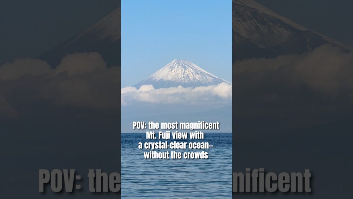 The most magnificent Mt. Fuji view🗻🌊 #japantravel #japantrip #tourguideinjapan The most magnificent Mt. Fuji view🗻🌊 #japantravel #japantrip #tourguideinjapan