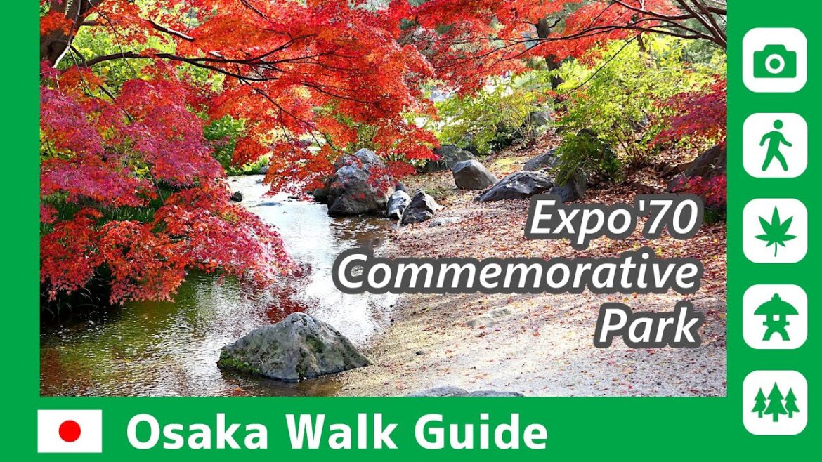 【 Expo’70 Commemorative Park 】Japanese garden with beautiful autumn leaves / OSAKA WALK GUIDE #092 【 Expo'70 Commemorative Park 】Japanese garden with beautiful autumn leaves / OSAKA WALK GUIDE #092