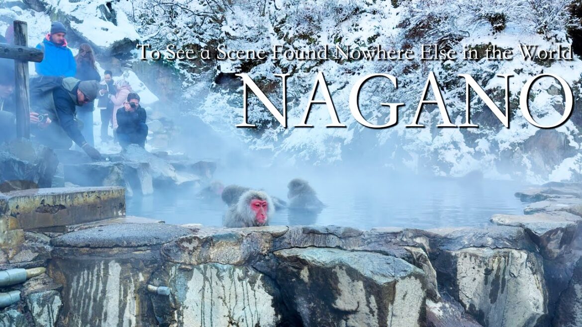 Nagano Trip — A One-of-a-Kind Winter Scene in Japan | Shibu Onsen & Snow Monkey Park | Japan Vlog
