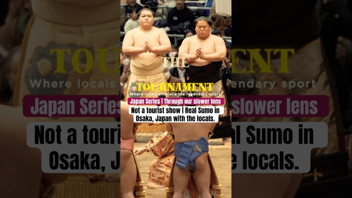 Not a tourist show - Real Sumo in Osaka Japan #japantravel #travelwithkids #ytshorts #sumo #osaka