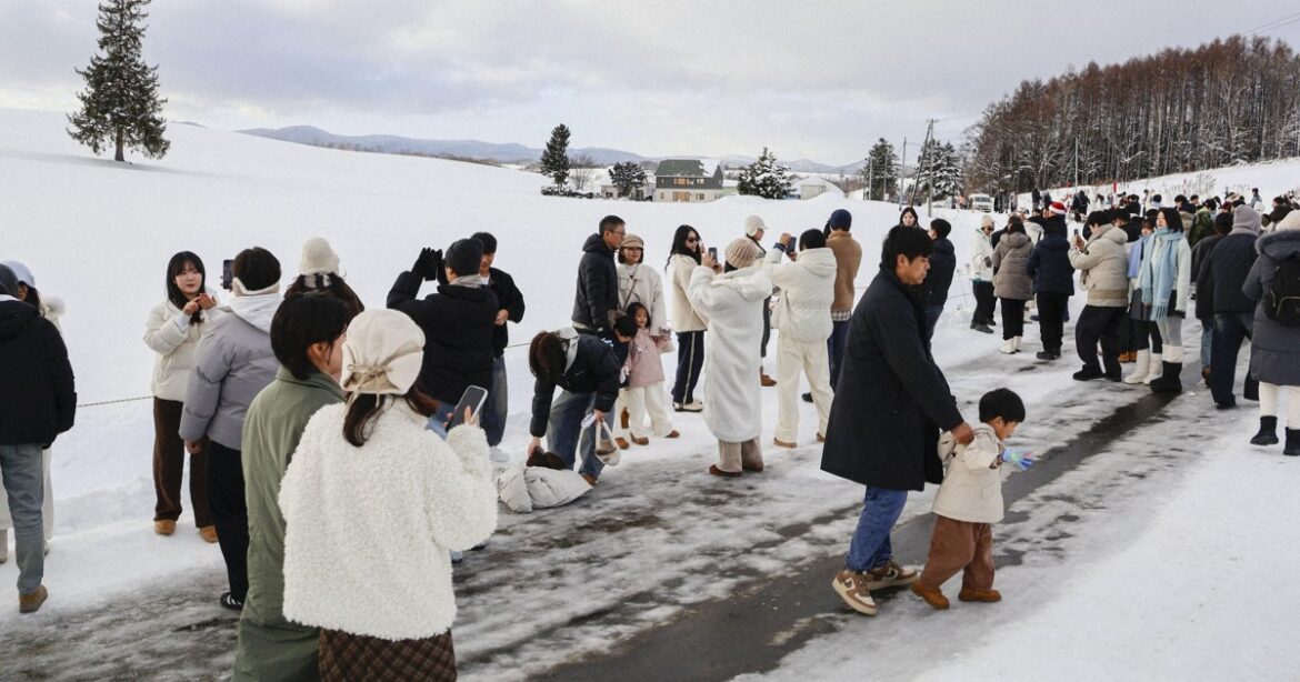 Overtourism continues in Hokkaido town despite felling of photogenic trees