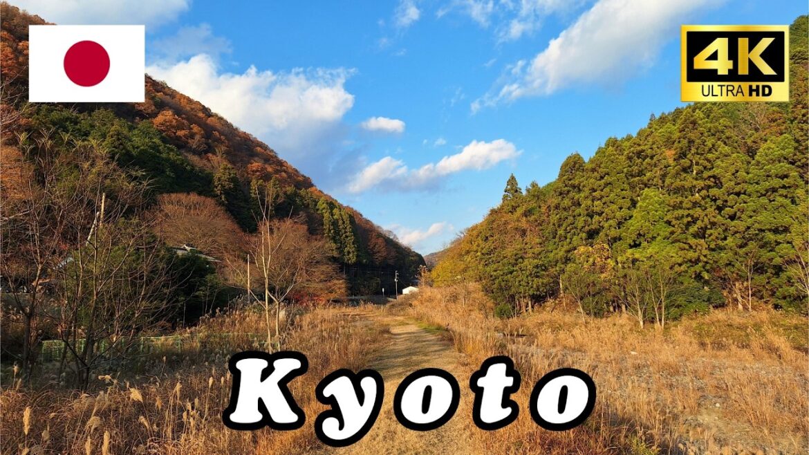 【4K】沒有人知道的日本紅葉秘境｜初冬仍然超美！人少好拍又超療癒🍁