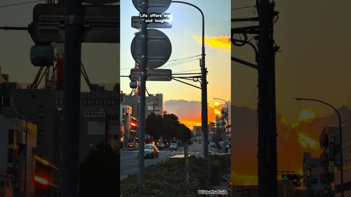 What Happens at Sunset in This Tokyo Street? 🌅#viral #shorts #short #nature #japan #kobe #mrbeast