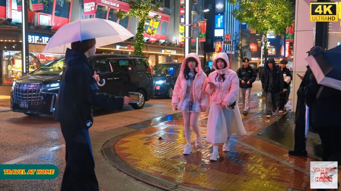 4K HDR Japan travel 2026 | Snowy day Walk in Shinjuku(新宿)Tokyo Japan |Relaxing Natural City ambience 4K HDR Japan travel 2026 | Snowy day Walk in Shinjuku(新宿)Tokyo Japan |Relaxing Natural City ambience