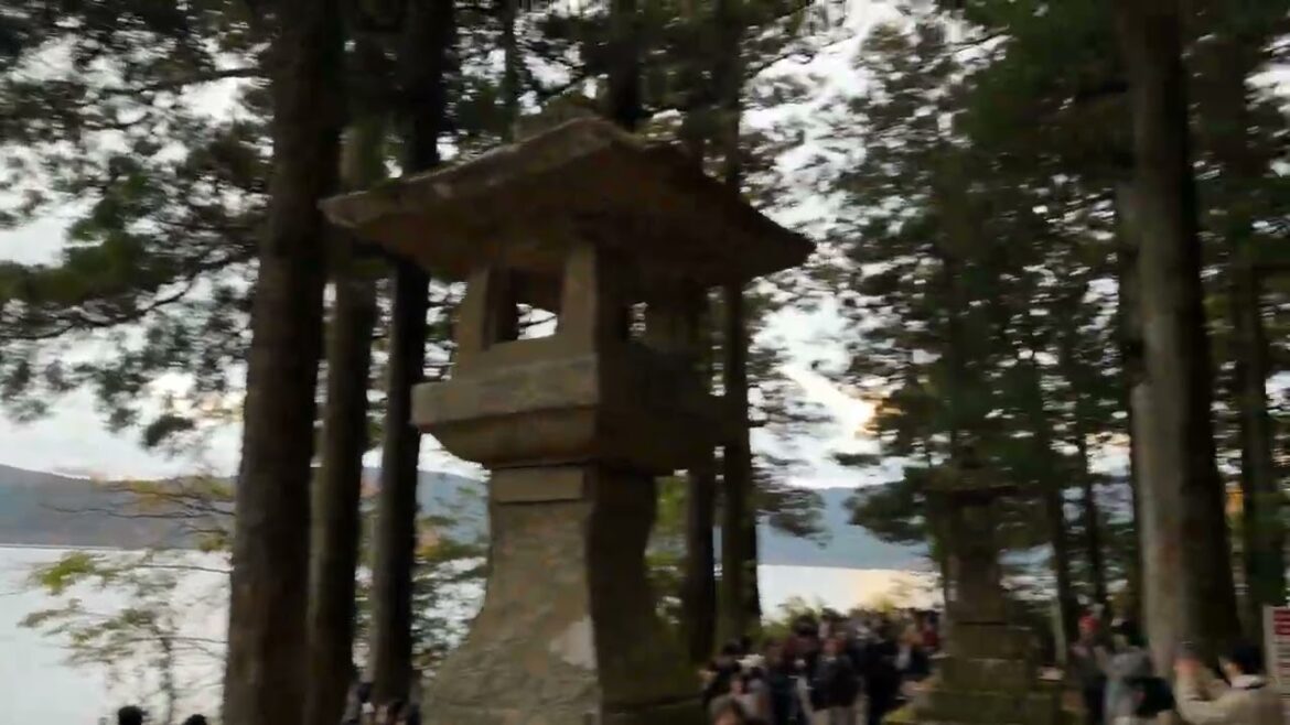 Torii Gate on Lake Ashi #travel #vlog #vacation #nature