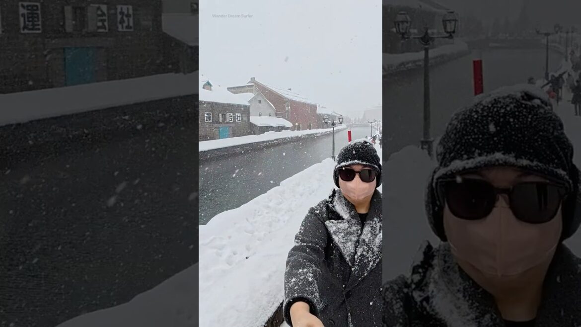 [4K]🇯🇵SNOWSTORM🥶DAY TRIP TO OTARU FROM SAPPORO#otaru #sapporo
