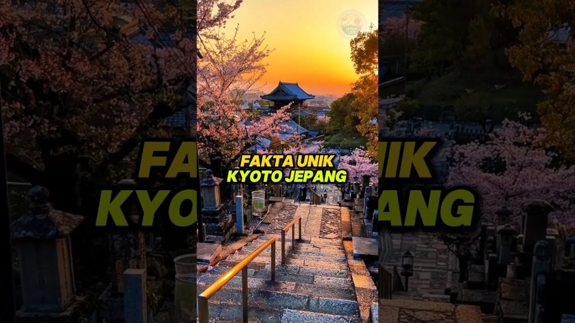 Fakta Unik Kyoto Jepang!!⛩️ #kyoto #jepang #shorts