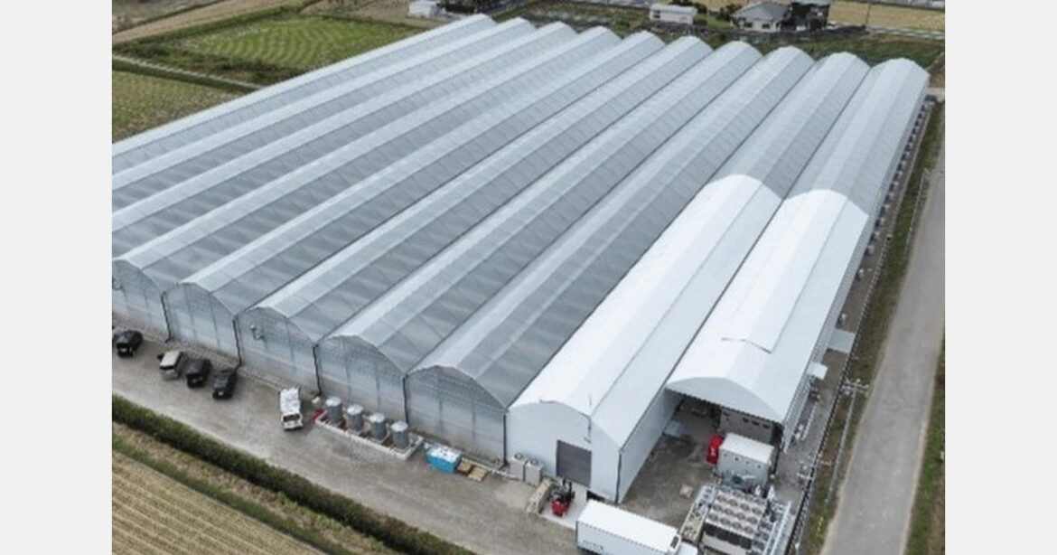 Taking a look inside a moving hydroponic greenhouse
