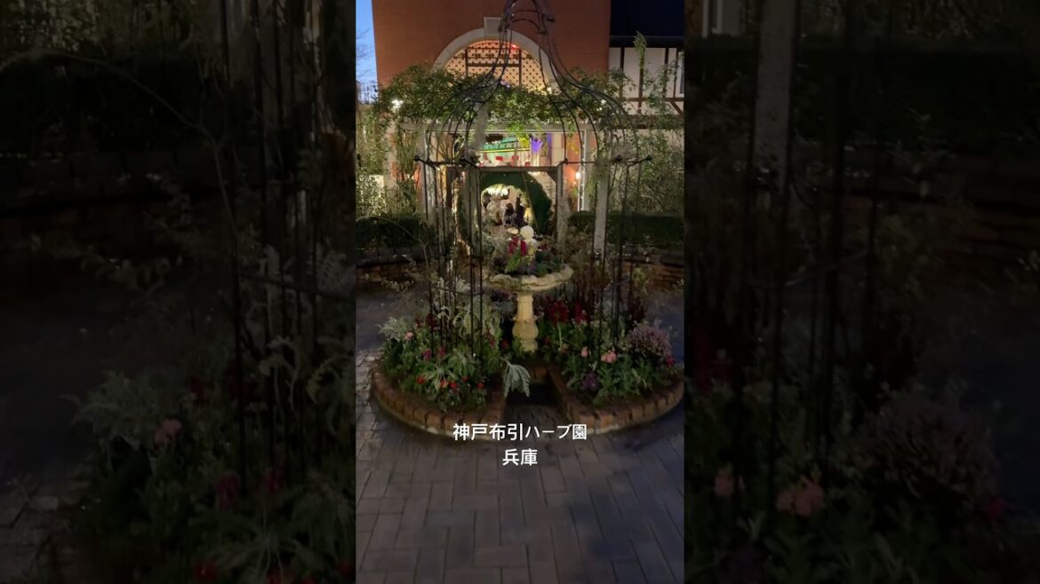 ジブリの舞台みたいな場所、神戸に存在してた#布引ハーブ園 #Kobe#ジブリ感 #Ghibli#異世界 #Fantasy#絶景 #Scenery#映え #Photo