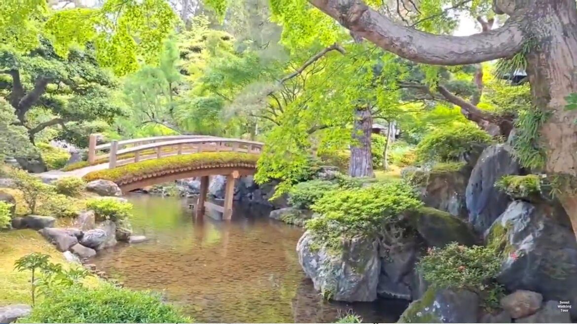 교토교엔 공원 🌿 산책 브이로그 | 교토고쇼 시신덴 | 교토 도심 역사 힐링 산책