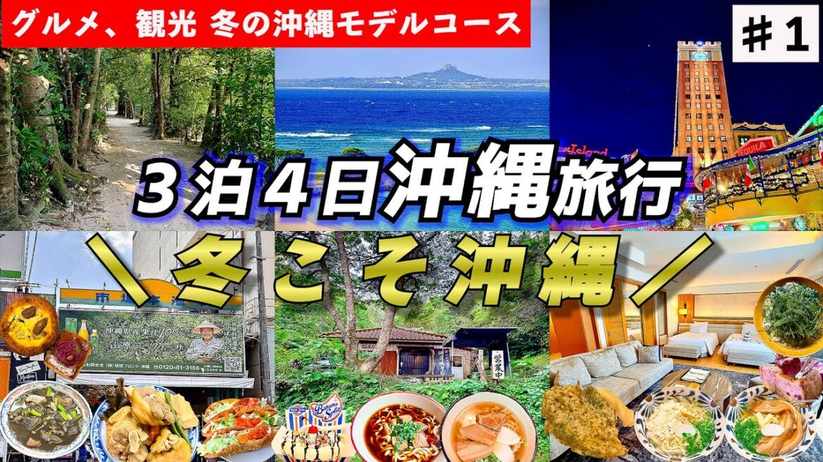 【那覇から北部へ】なぜ沖縄は冬がベストシーズンなのか｜実際に行ってわかったこと