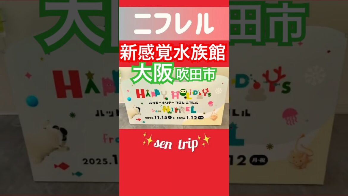 癒しのニフレルが凄すぎた‼️   新感覚水族館🦭　#shorts  #万博記念公園駅  #ニフレル  #イリエワニ  #ホワイトタイガー