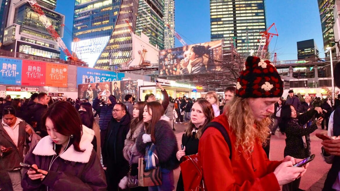 Shibuya Evening walking tour and sightseeing. Tokyo, Japan.