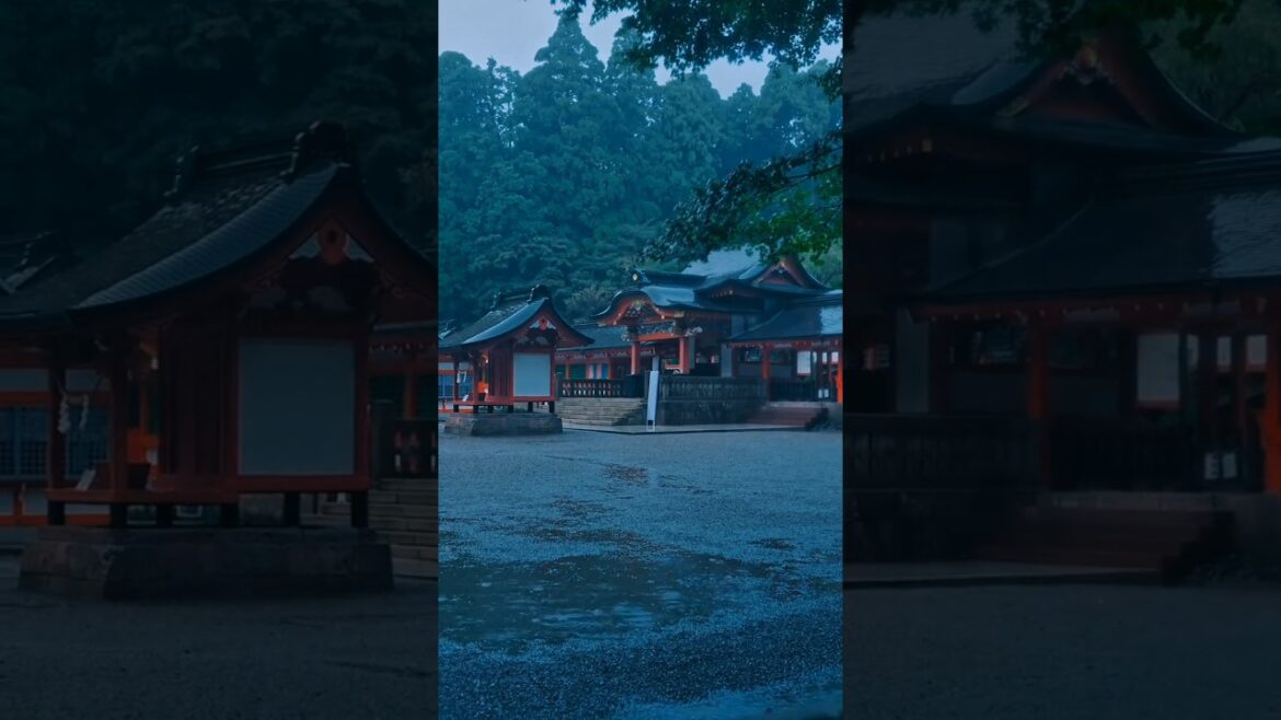 The MOST beautiful places in Japan📍⛩️ Kyoto, fukuoka, Kagoshima, Fukui,Aichi #kyoto#kagoshima #japan