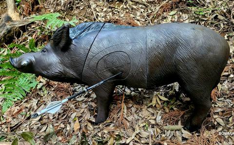 Complete with foam animal targets, 3D archery finds a home at military retreat in Tokyo Complete with foam animal targets, 3D archery finds a home at military retreat in Tokyo