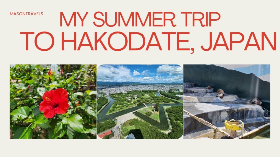 Exploring Hakodate, Japan! Moo Moo Taxi, Monkey Hot Springs & Ropeway Adventure 🐄🐒