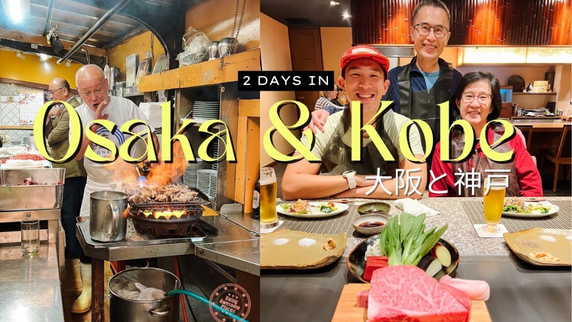 2 Days in Osaka and Kobe With My Parents | 10 Days On Japan's Golden Route For First Timers Vlog