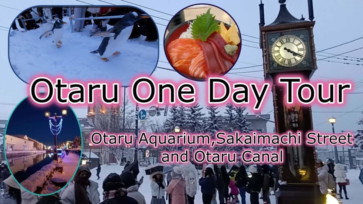 Otaru One Day tour From Sapporo!Penguin Walk,Delicious Seafood and Beautiful Photo Spot!