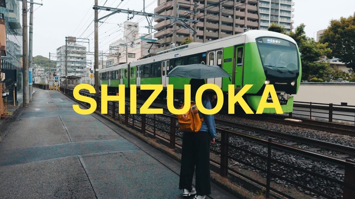 Lost in Shizuoka