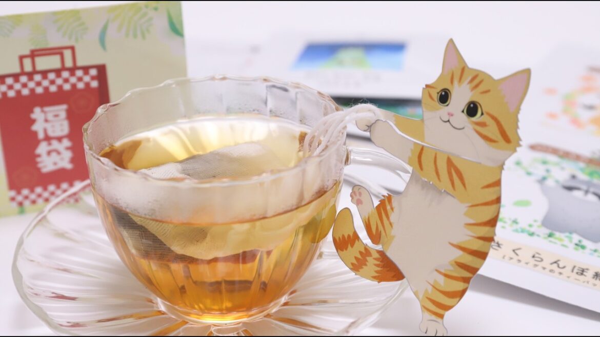 ☕Weird Animal Tea Bag Assorted Lucky Bag Ocean-Teabag