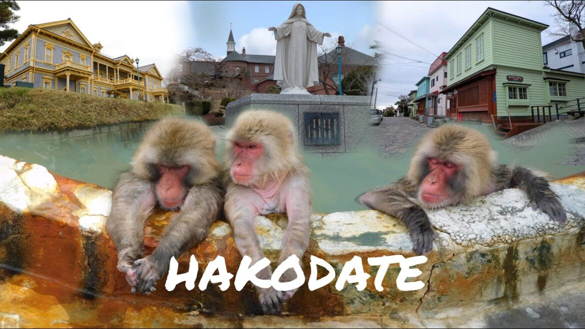 Sea of Japan: Hakodate