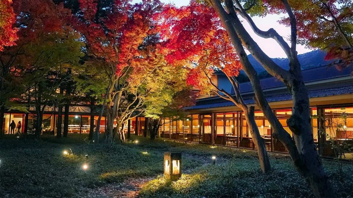 2 Days at a Hidden Onsen Ryokan in Nikko During Japan’s Autumn | KAI Kinugawa