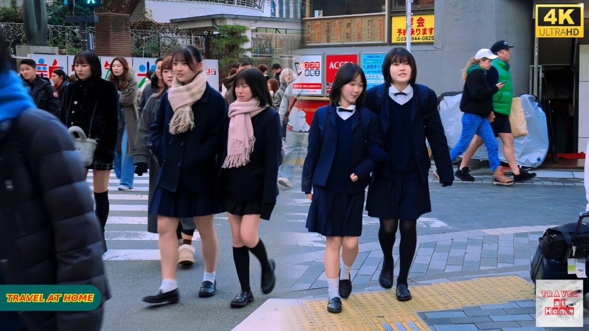 4K HDR Japan travel 2026 | Walk in Shinjuku(新宿)Tokyo Japan | Relaxing Natural City ambience 4K HDR Japan travel 2026 | Walk in Shinjuku(新宿)Tokyo Japan | Relaxing Natural City ambience