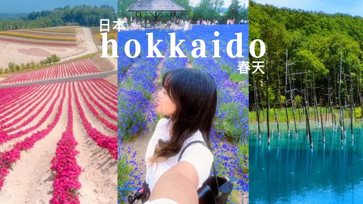 hokkaido | 6-day summer trip