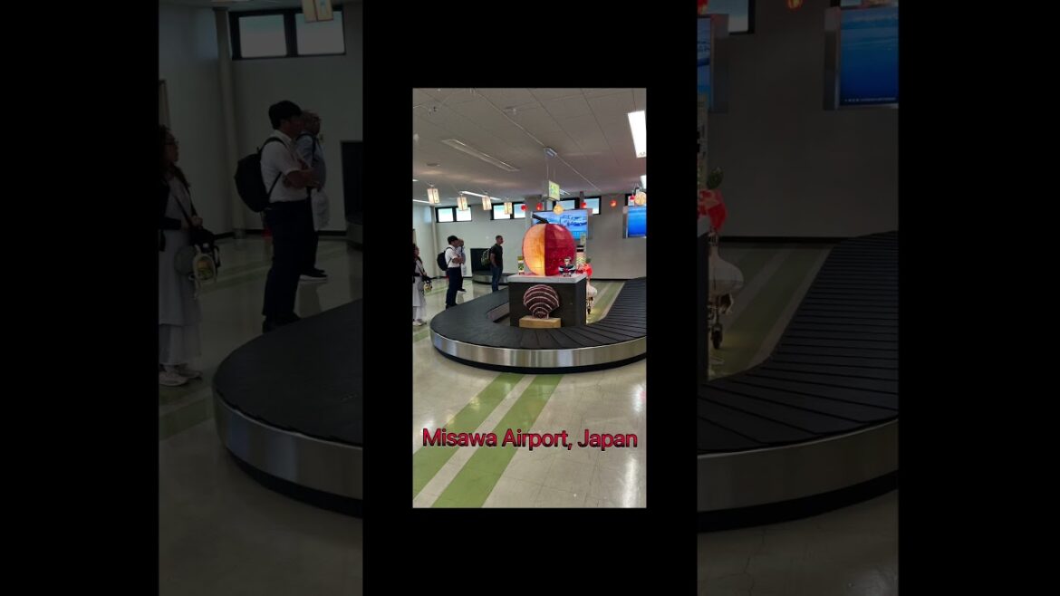 Misawa Airport, Japan #travel #japan #airport