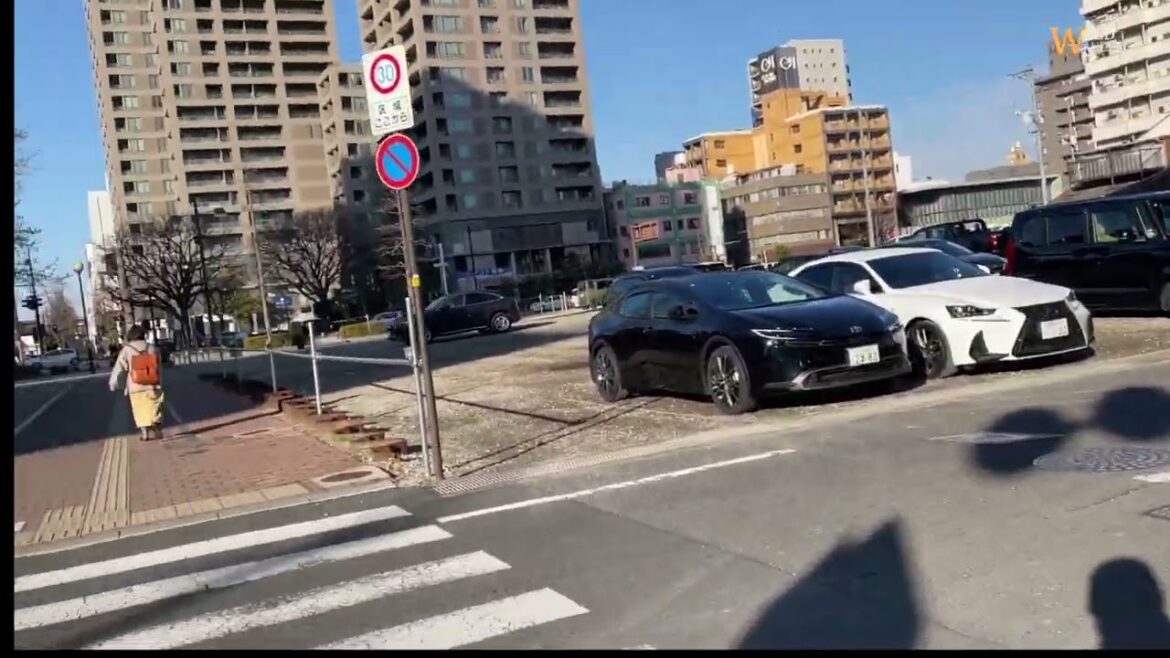 Free Walk in Okayama City 🇯🇵 | Real Japan Life | Peaceful Streets & Local Vibes (4K) | Wild Wanderer