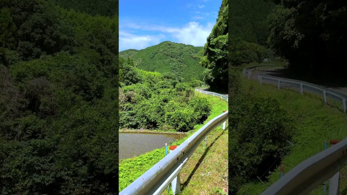 Japan's countryside scenery: Rice Terraces, Yude, Minamata, Kumamoto, Japan #japaneselandscape