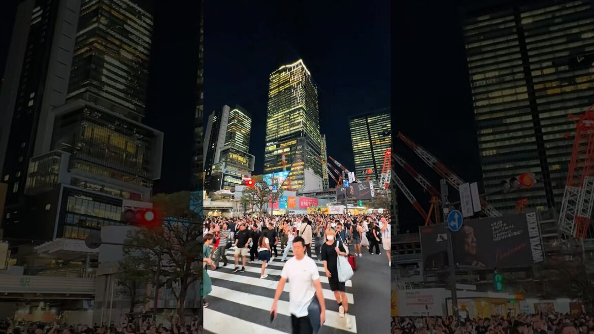 The Most Insane Pedestrian Crossing Ever