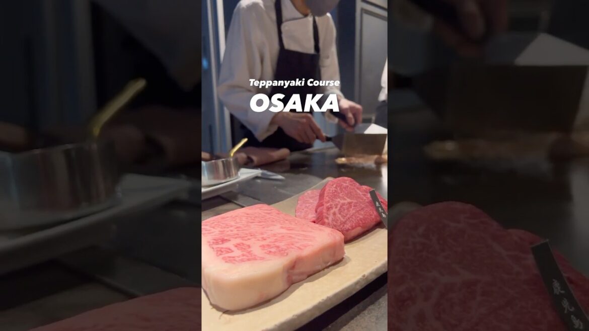 Teppanyaki Lunch in Namba, Osaka β Kagoshima Wagyu at New Matsusaka π³π₯ Teppanyaki Lunch in Namba, Osaka β Kagoshima Wagyu at New Matsusaka π³π₯