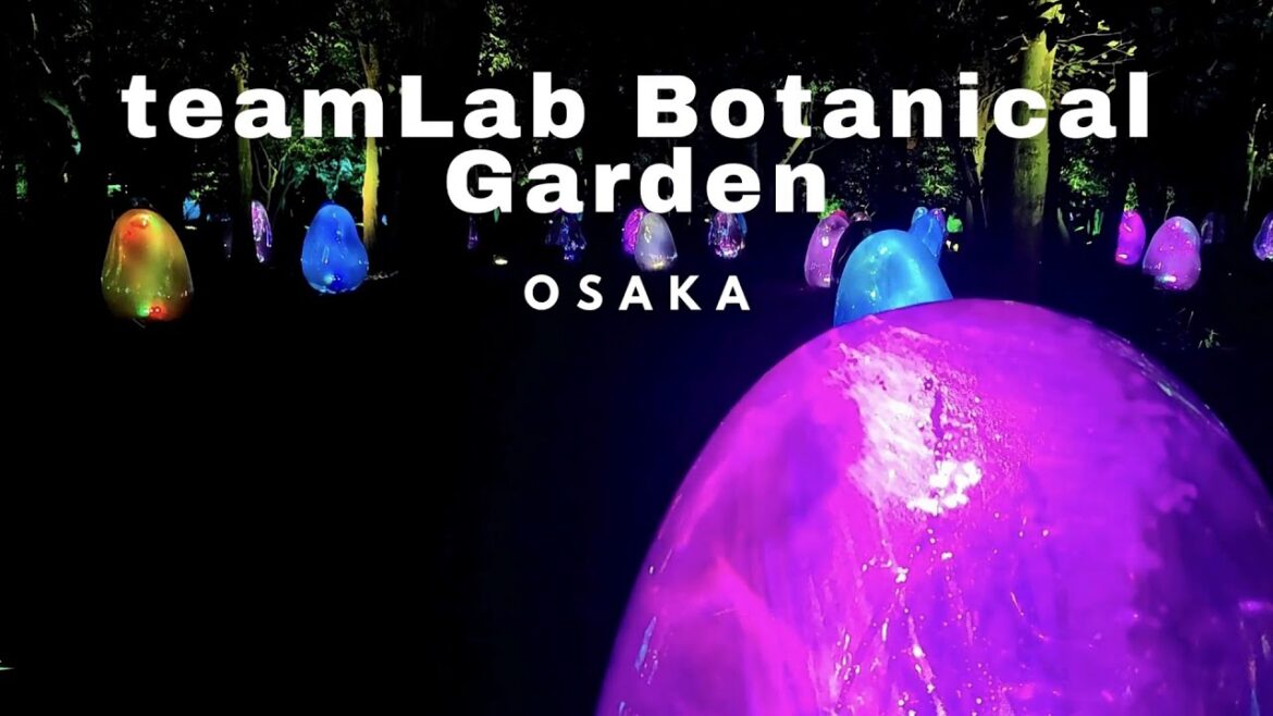 Exploring teamLab Botanical Garden Osaka | Magical Nagai Botanical Garden Night Walk