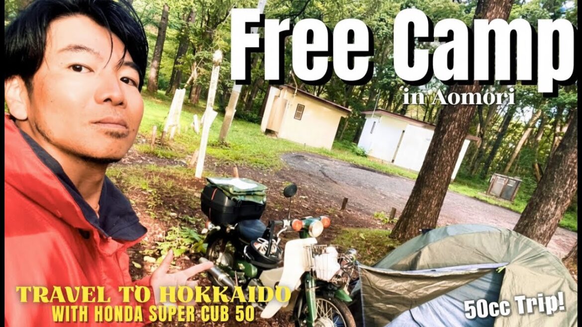 Super Cub 50 Trip | Dazai Museum, Local Curry & Free Camping in Aomori [4K]