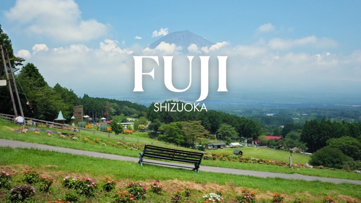 The Other Side of Mt. Fuji | 24 Hours To Discover Fuji City, Shizuoka 静岡県