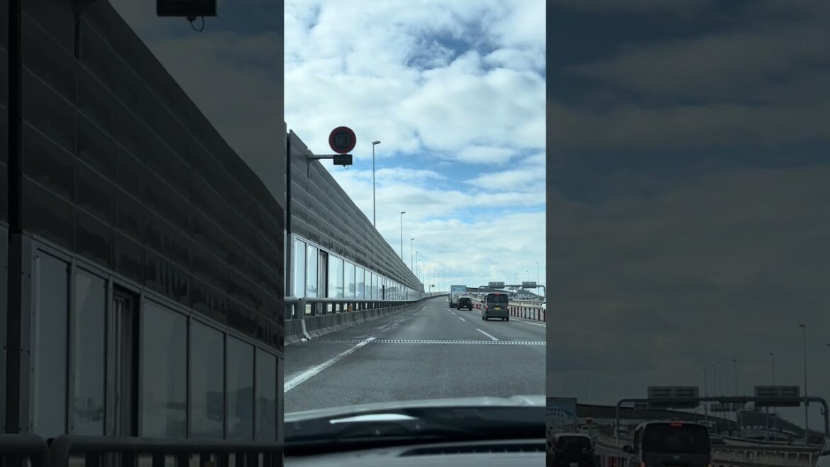 Driving Across Japan🏎️🏁 Nagoya #japan #automobile #driving #travel #nagoya