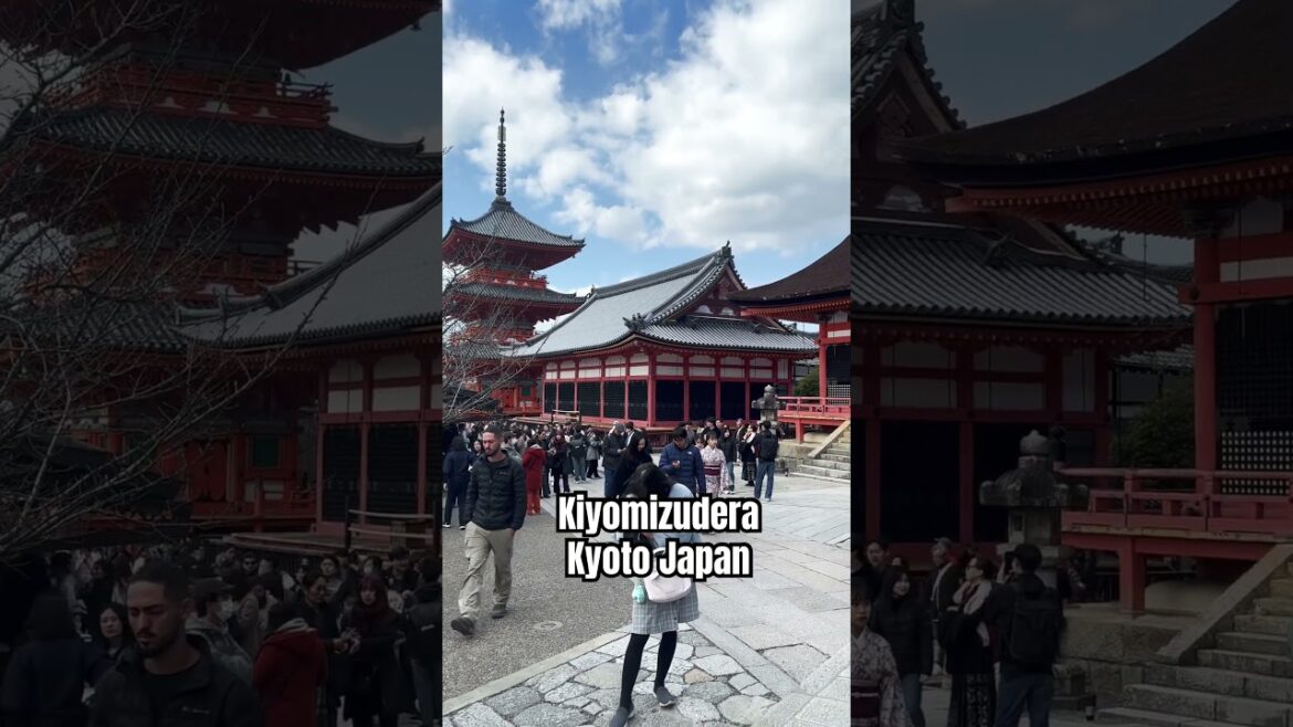 Kiyomizudera Temple Kyoto Japan 🇯🇵 #kiyomizudera #temple #kyoto #japan