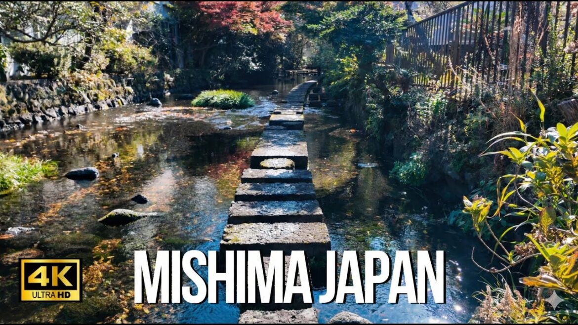 MISHIMA JAPAN 4K ASMR Walking Tour – Soothing Sounds of Mt. Fuji Springs【4K HDR】 MISHIMA JAPAN 4K ASMR Walking Tour - Soothing Sounds of Mt. Fuji Springs【4K HDR】